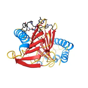 Polo-like kinase 1 Polo box domain in complex with a C6H5(CH2)8-derivatized peptide inhibitor