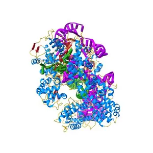 Crystal structure of catalytically-active Streptococcus pyogenes CRISPR-Cas9 in complex with single-guided RNA and double-stranded DNA primed for target DNA cleavage (5F9R)