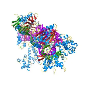 Crystal structure of Francisella novicida Cas9 in complex with sgRNA and target DNA (TGG PAM)