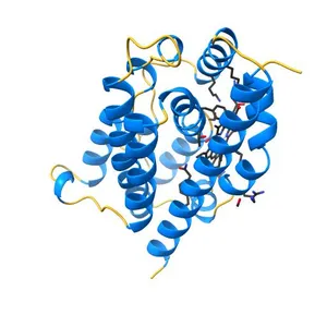 Crystal Structure of rat Heme oxygenase-1 in complex with Heme and O2
