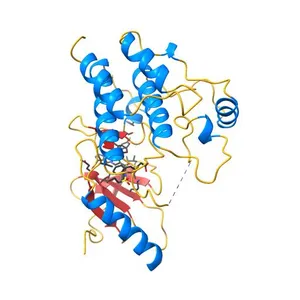 Crystal structure of the BRAF (R509H) kinase domain monomer bound to Vemurafenib