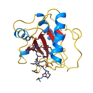 Crystal structure of human PGRP-IalphaC in complex with muramyl pentapeptide
