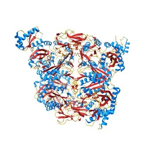4hr7 Crystal Structure of Biotin Carboxyl Carrier Protein-Biotin Carboxylase Complex from E.coli strain 12