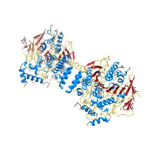 NON-AGED CONJUGATE OF TORPEDO CALIFORNICA ACETYLCHOLINESTERASE WITH SOMAN