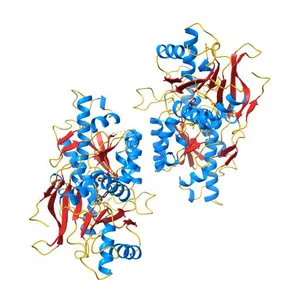 Crystal Structure of Metabotropic Glutamate Receptor Subtype 1 Complexed with an antagonist