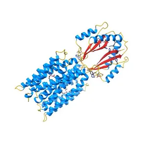 CryoEM Structure of the Zinc Transporter YiiP from helical crystals