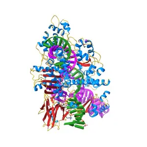 Crystal structure of Staphylococcus aureus Cas9 in complex with sgRNA and target DNA (TTGGGT PAM)