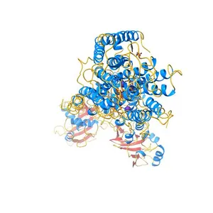 Crystal structure of the sodium-potassium pump