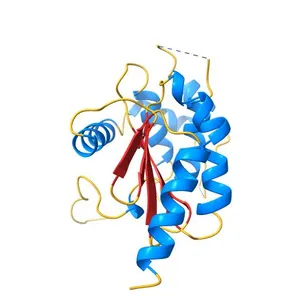 Crystal structure of Chlamydia trachomatis DsbA