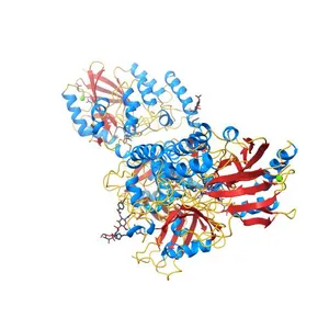 Crystal structure of 5'-nucleotidase from venom of Naja atra