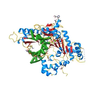 Human DNA polymerase eta - DNA ternary complex: Reaction in the AT crystal at pH 7.0 for 230 sec