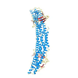 PI(3)P bound PX-BAR membrane remodeling unit of Sorting Nexin 9