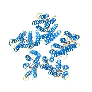 Crystal structure of a blue-light absorbing proteorhodopsin double-mutant D97N/Q105L from HOT75