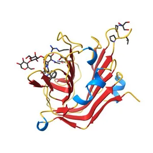 Carbohydrate binding domain from Streptococcus pneumoniae NanA sialidase complexed with 3'-sialyllactose