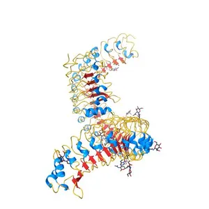 Crystal structure of flg22 in complex with the FLS2 and BAK1 ectodomains