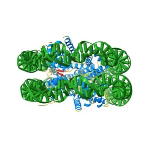 Structural characterization of H3K56Q nucleosomes and nucleosomal arrays