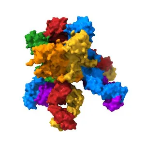 Crystal structure of HPV59 pentamer in complex with the Fab fragment of antibody 28F10