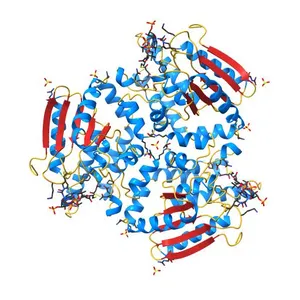 Crystal structure of the Mtb enoyl CoA isomerase (Rv0632c) in complex with hydroxybutyrl CoA