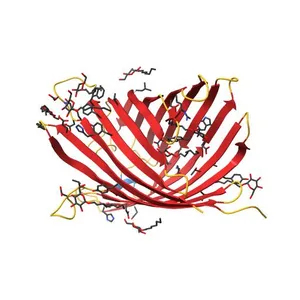 Structure of a E.coli porin