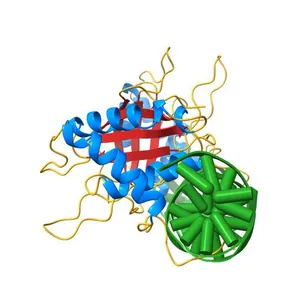 EBNA-1 NUCLEAR PROTEIN/DNA COMPLEX