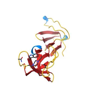 Crystal structure of human STAC1 Tandem SH3 Domains (288-402)