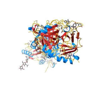 2.5A Crystal Structure of the Antithrombin-Thrombin-Heparin Ternary Complex