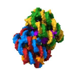 Structure of the 4_601_167 Tetranucleosome