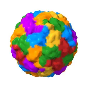 HUMAN RHINOVIRUS 16 COAT PROTEIN
