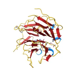 Crystal structure of the computationally designed Pizza2 protein