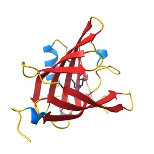 Crystal structure of the dog lipocalin allergen Can f 2 and implications for cross-reactivity to the cat allergen Fel d 4