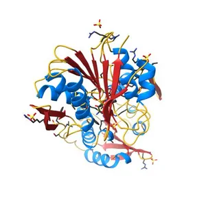 T. Thermophilus 16S rRNA N2 G1207 methyltransferase (RsmC) in complex with AdoMet