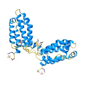 CRYSTAL STRUCTURE OF HUMAN INTERLEUKIN-10 AT 1.6 ANGSTROMS RESOLUTION