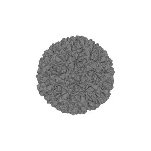 Capsid Expansion Mechanism Of Bacteriophage T7 Revealed By Multi-State Atomic Models Derived From Cryo-EM Reconstructions