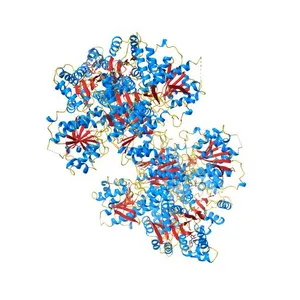 ATP-bound structure of human platelet phosphofructokinase in an R-state, crystal form II