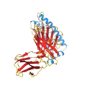 COMPLEX OF A B2 CHICKEN MHC CLASS I MOLECULE AND A 9MER CHICKEN PEPTIDE