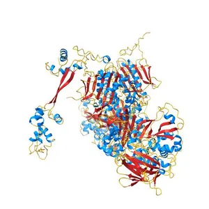 Crystal structure of Homo Sapiens cytoplasmic Phenylalanyl-tRNA synthetase