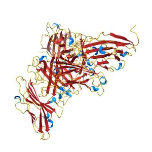 KNOB DOMAIN FROM ADENOVIRUS SEROTYPE 12 IN COMPLEX WITH DOMAIN 1 OF ITS CELLULAR RECEPTOR CAR
