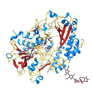 GLUCOSE OXIDASE FROM APERGILLUS NIGER