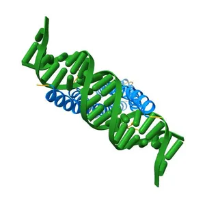 Crystal structure of the CRTC2-CREB-CRE complex