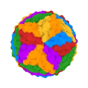 Structure of Zika virus at a resolution of 3.1 Angstrom