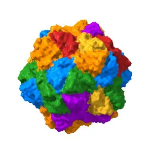 Low Resolution Structure of STNV complexed with RNA
