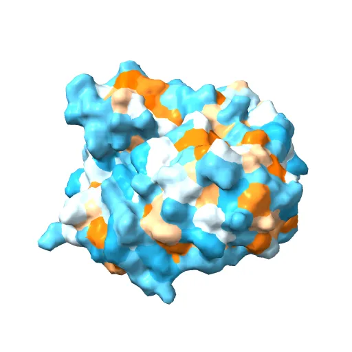Crystal structure of the murine cytomegalovirus MHC-I homolog m152 with ligand RAE-1 gamma — Фото 2 из 13