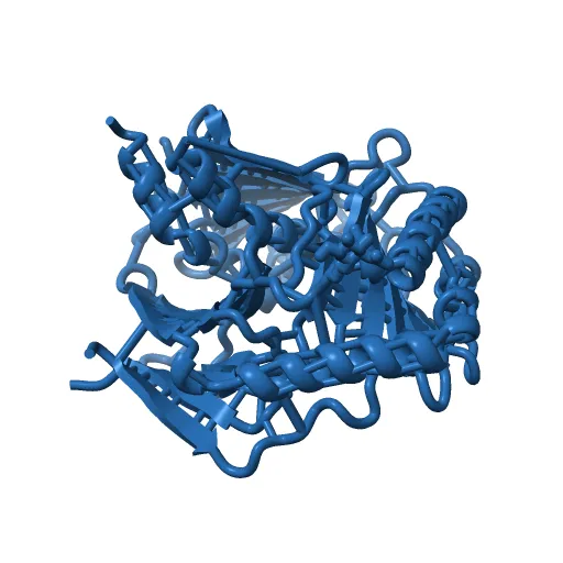 Crystal structure of the murine cytomegalovirus MHC-I homolog m152 with ligand RAE-1 gamma — Фото 3 из 13