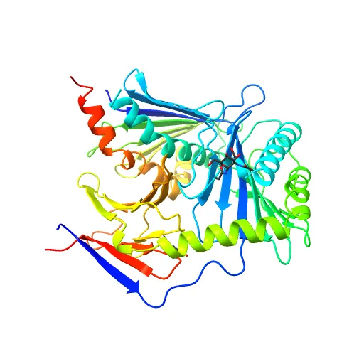 Crystal structure of the murine cytomegalovirus MHC-I homolog m152 with ligand RAE-1 gamma — Фото 4 из 13