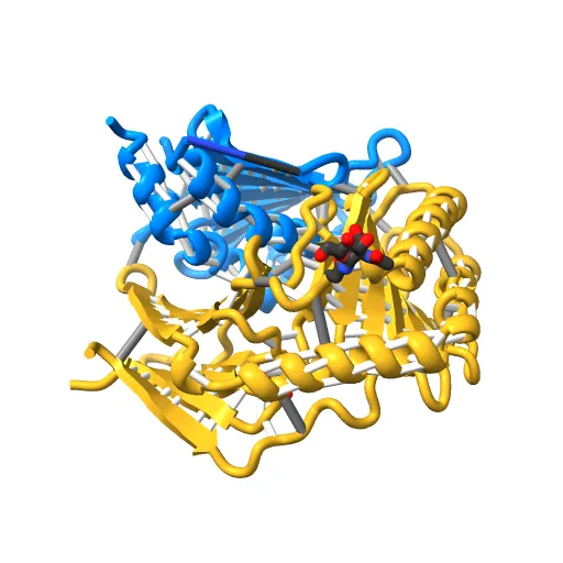 Crystal structure of the murine cytomegalovirus MHC-I homolog m152 with ligand RAE-1 gamma — Фото 5 из 13