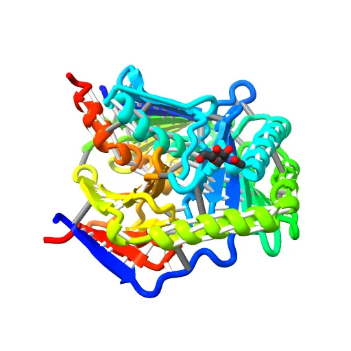 Crystal structure of the murine cytomegalovirus MHC-I homolog m152 with ligand RAE-1 gamma — Фото 8 из 13