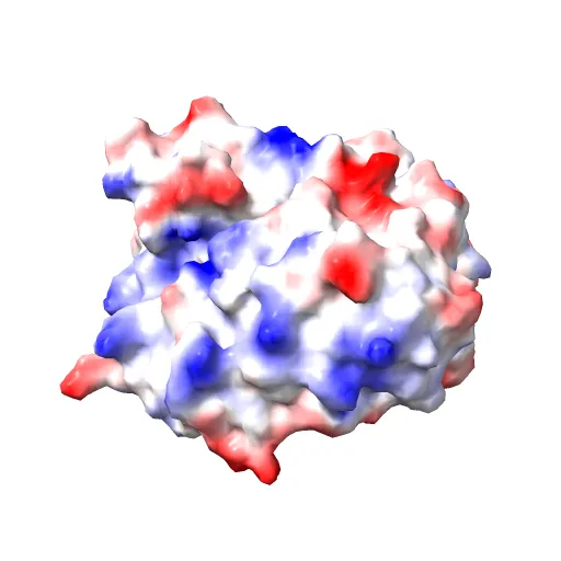 Crystal structure of the murine cytomegalovirus MHC-I homolog m152 with ligand RAE-1 gamma — Фото 12 из 13