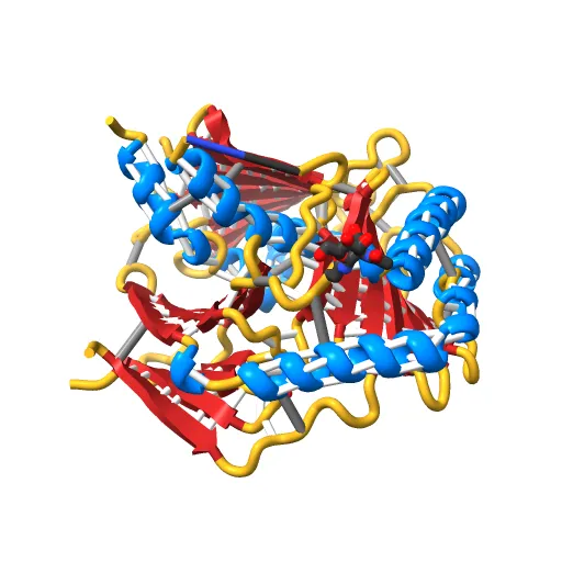 Crystal structure of the murine cytomegalovirus MHC-I homolog m152 with ligand RAE-1 gamma — Фото 13 из 13