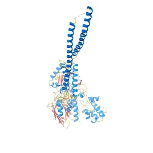 Crystal structure of human LSD1 at 2.3 A resolution