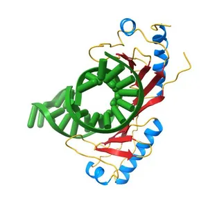 CRYSTAL STRUCTURE OF A YEAST TBP/TATA-BOX COMPLEX